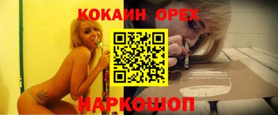 гидра Кандалакша