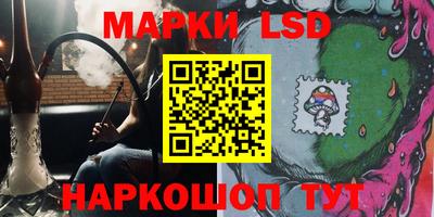 гидра Кандалакша
