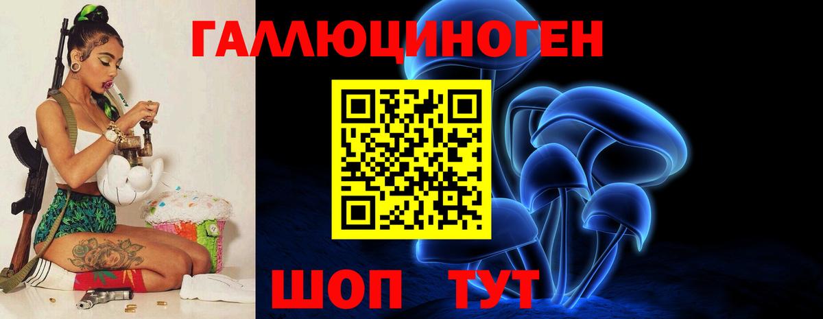 Майкоп  Галлюциногенные грибы Magic Shrooms  Вход с VPN  Псилоцибиновые грибы Magic Shrooms 